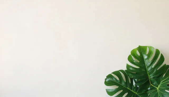 技术推广中的适用情况分析与团队发展策略